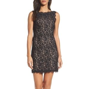 Adrianna Papell Lace Cocktail Dress in Black/Nude